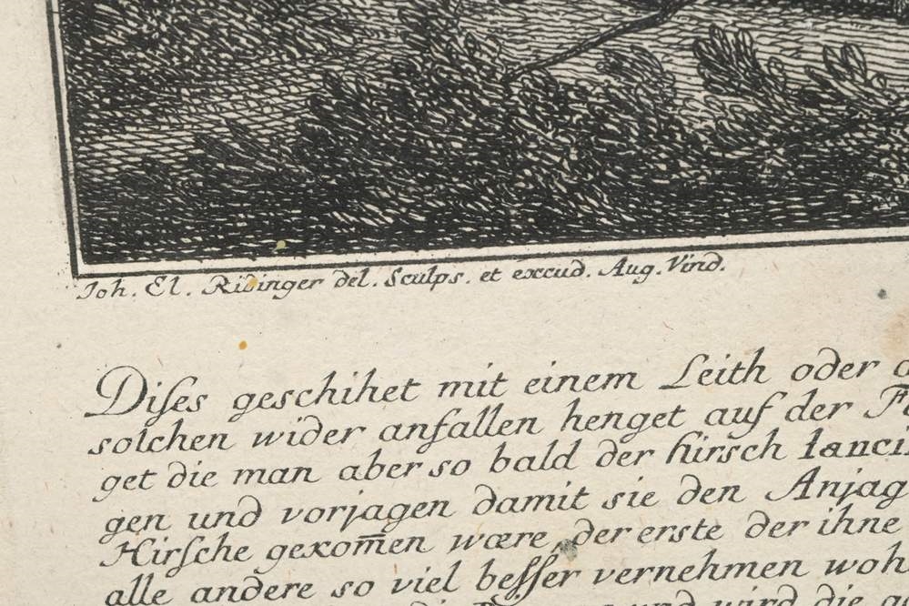 A set of four framed black-and-white etchings depicting forest scenes with figures.