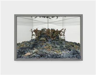 Rare Earth