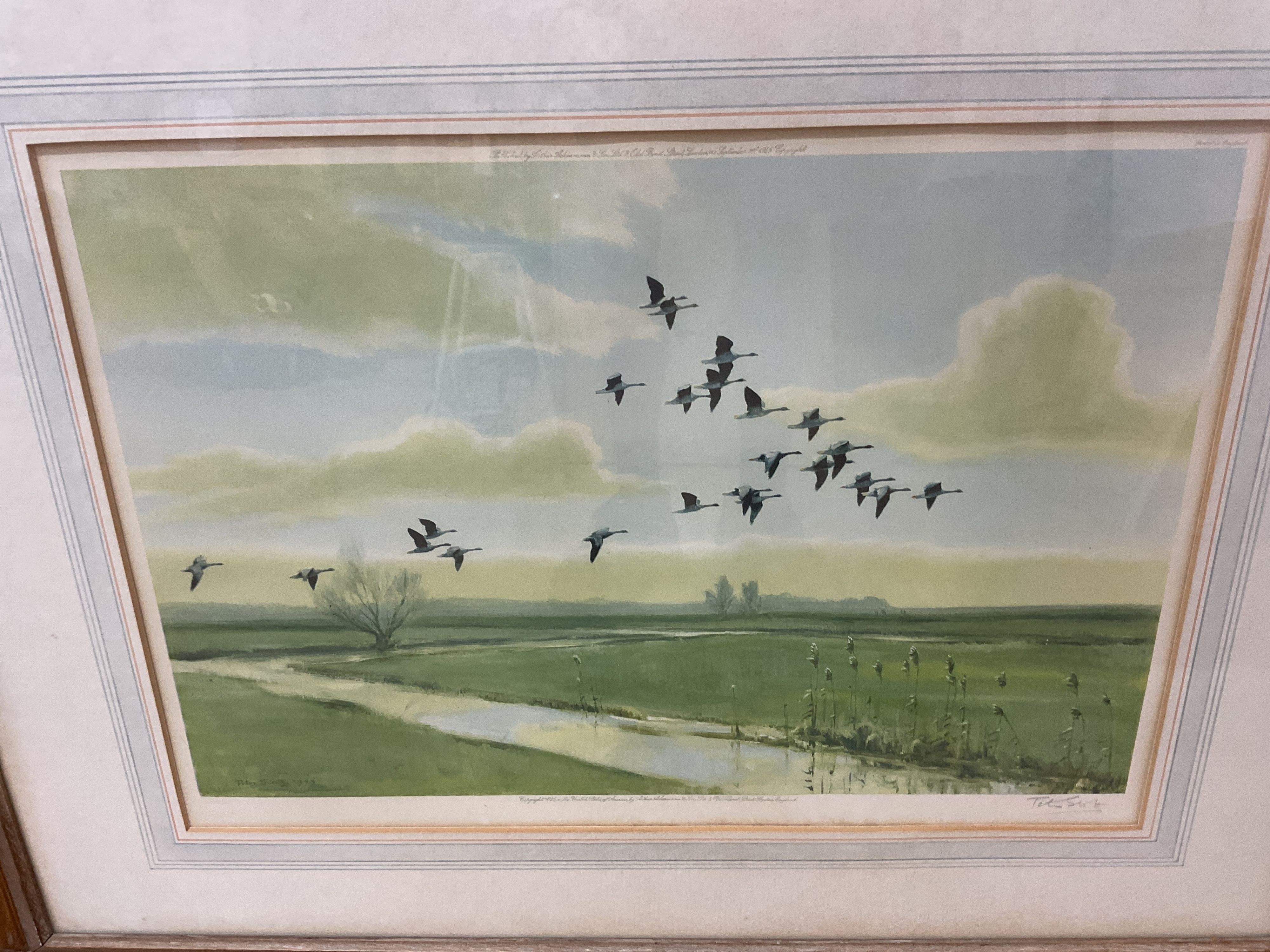 Peter Markham Scott | birds in flight | MutualArt