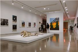 At the Vancouver Art Gallery’s climate show, a tough assignment: no preaching allowed