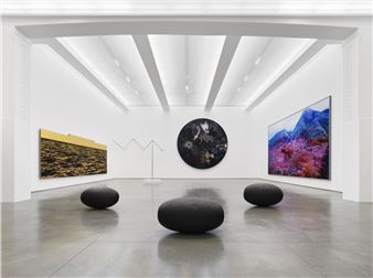 Modus Operandi - Jack Shainman Gallery, Kinderhook