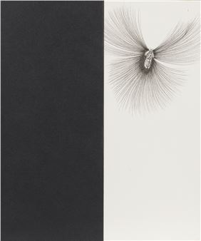 Ralf Ziervogel | 26 Artworks at Auction | MutualArt