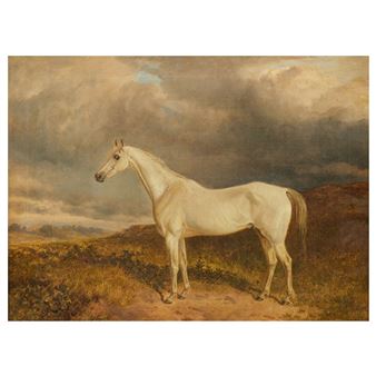 A white horse stands in profile against a dramatic, cloudy sky.