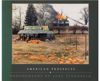 Joel Sternfeld | 331 Artworks at Auction | MutualArt