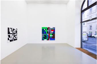 Heimo Zobernig: This not this - Galerie Meyer Kainer