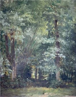 Undergrowth Picture