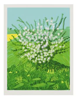 The Arrival of Spring in Woldgate, East Yorkshire in 2011 (twenty eleven)