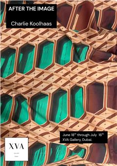 Charlie Koolhaas: After the Image - XVA Gallery