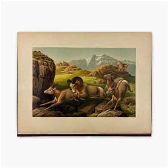 Sport, or Fishing and Shooting. Boston: Bradlee Whidden - Rufus Fairchild Zogbaum