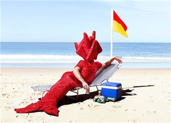 Gerwyn Davies: Sunburn