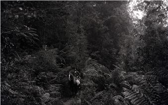 Exposed Lands: 100 Years of Tasmanian Landscape Photography - Tasmanian Museum and Art Gallery