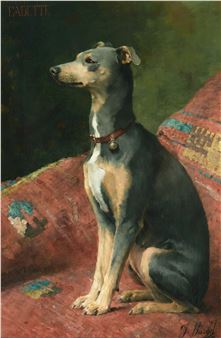 A seated greyhound-like dog with a red collar sits on a patterned cushion against a dark background.