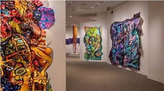 The Janet & Walter Sondheim Art Prize Finalists Exhibition - Walters Art Museum