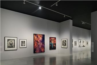 Deichtorhallen Hamburg presents private photography collection of fashion icon F.C. Gundlach
