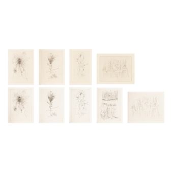 A minimalist arrangement of eight framed charcoal sketches on neutral paper.