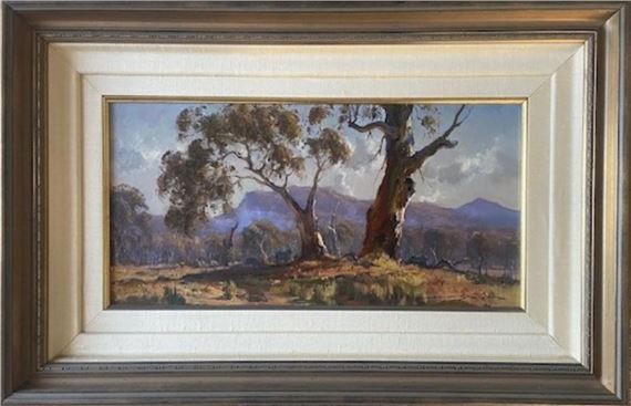 Sheep amongst the Gums - Doug Sealy