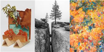 CALeidoscope: Evolving Reflections of California - Bedford Gallery