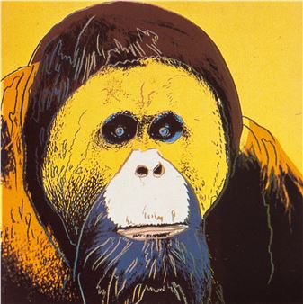 Orangutan from Endangered Species (Feldman & Schellmann II.299)