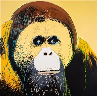 Orangutan from Endangered Species (Feldman & Schellmann II.299)