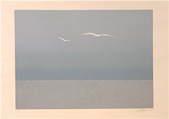 A minimalist print of two white birds soaring over a calm sea under a muted sky.