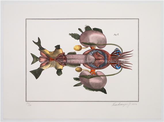 Jan Švankmajer Market Data: Auction Results & Gallery Prices