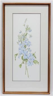 "A framed botanical illustration of a delicate blue flower arrangement."