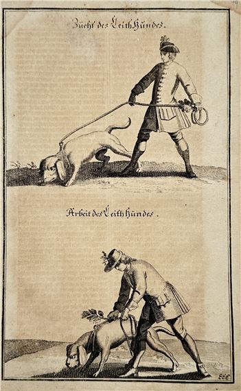 Training and Work of the Leash Hound – Engraving (18th Century) - Johann Elias Ridinger