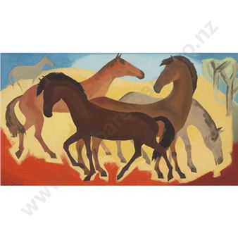 Horses Picture