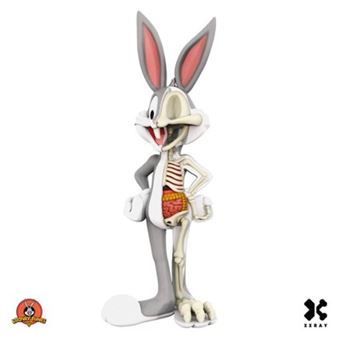 A humorous anatomical figure of a rabbit with exposed skeleton and internal organs.