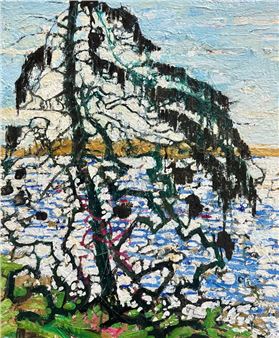 Festival 2026: The Landscape of Life - Open Eye Gallery, Edinburgh