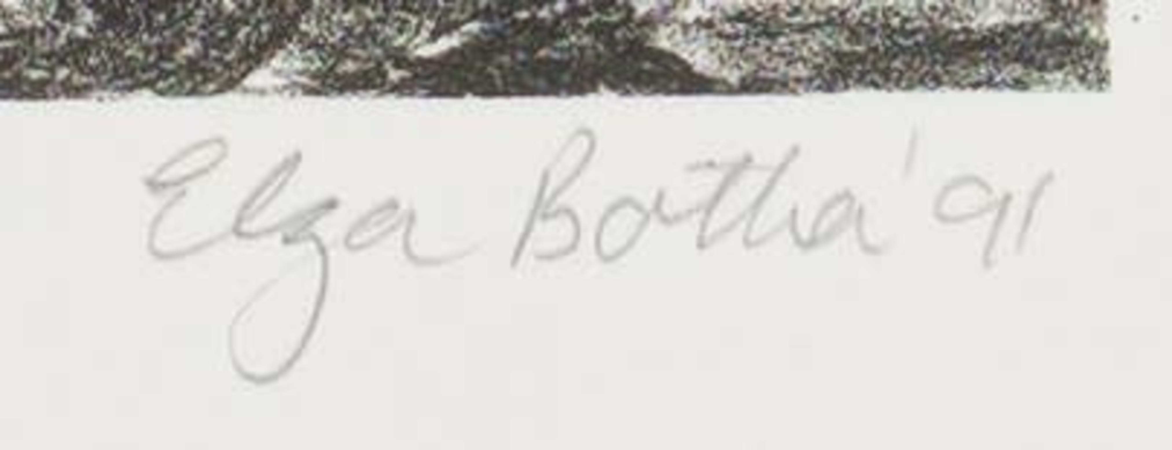 Artwork by Elza Botha, Teenbeeld (Counter Image), Made of Stone lithograph on paper