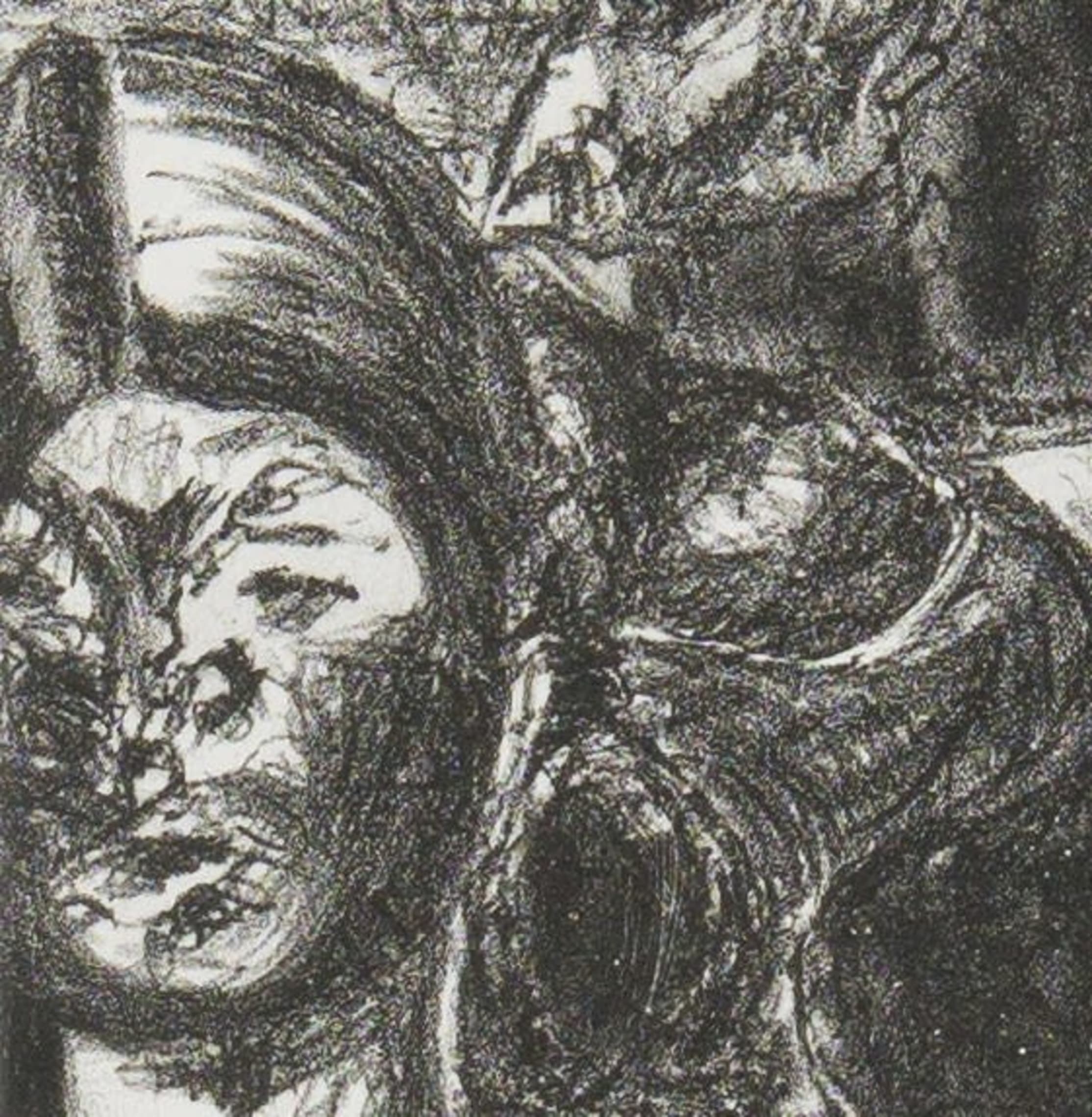 Artwork by Elza Botha, Teenbeeld (Counter Image), Made of Stone lithograph on paper