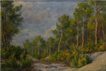 Springtime Landscape Picture