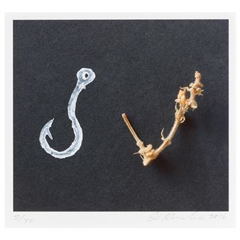 Potato Print Fish Hook, Cannabis Twig Fish Hook Picture