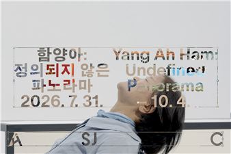 Yang Ah Ham: Undefined Panorama - Art Sonje Center
