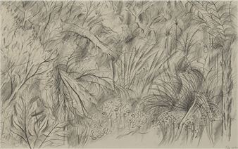 A dense, monochromatic sketch of a wild jungle landscape filled with tangled trees and tall grasses.