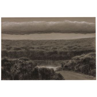 Untitled Picture