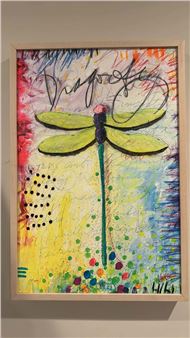 Dragonfly Picture