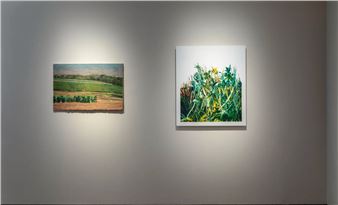 Seeking New Landscapes