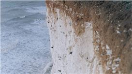 A Major Show Considers the Ties Between Land and Sea