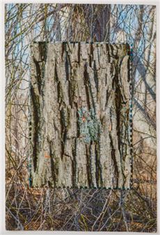 Laurie Lambrecht: texere: in nature with lens and hand - The Drawing Room, East Hampton