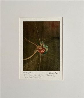 A monotype print of a surreal, abstract figure with elongated limbs and vibrant colors against a dark background.