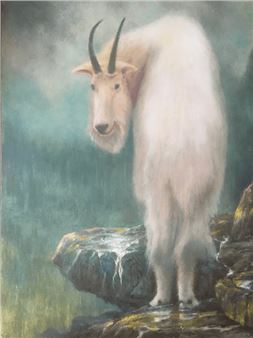 "Yellowstone Vigil" Picture