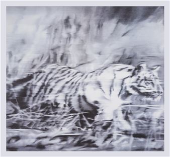 Tiger Picture