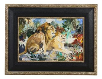 Lions Picture