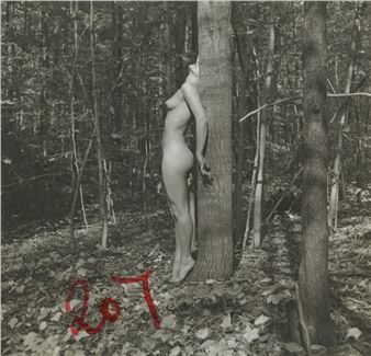 Vintage Photo 1950s-1960s Nude Study Picture