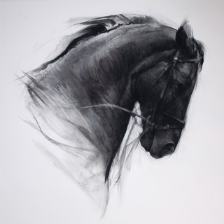 Jill Soukup: Unbridled at Gallery 1261