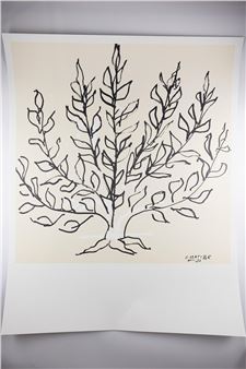 Le Buisson Picture
