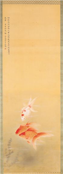 GOLDFISH - Jin Zhang