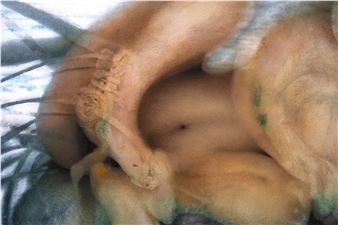 Giuseppe Francalanza: All of My Angels Wear a Rag: I The Tuner - Chapter NY